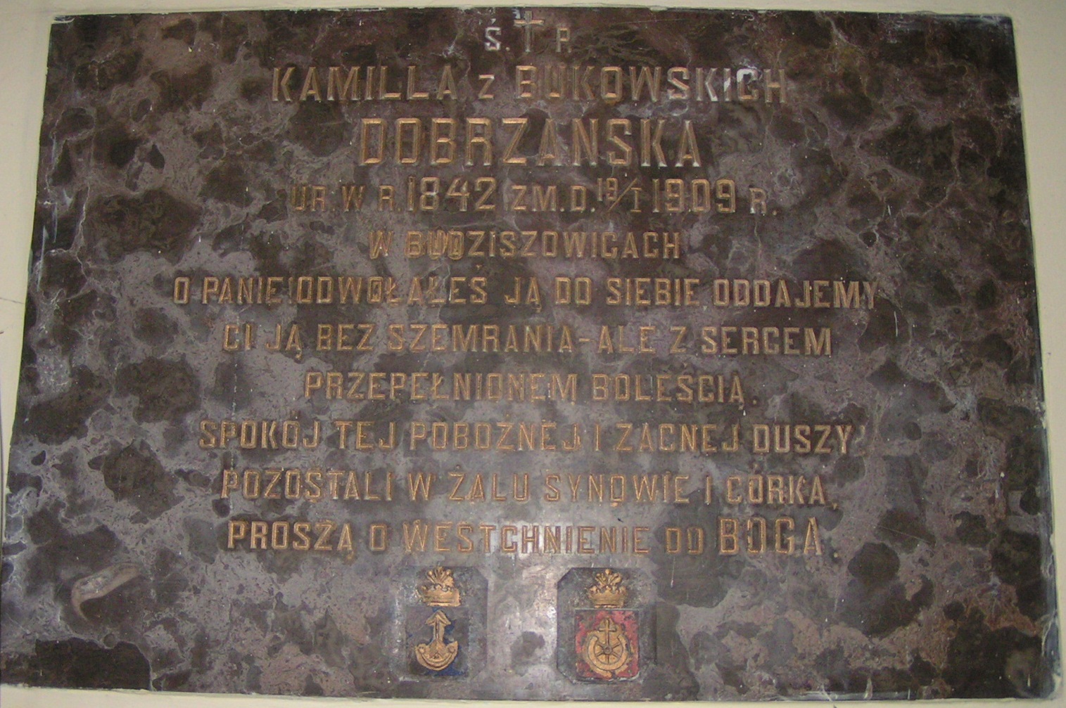 herb ossoria 05